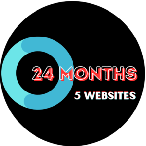 24 Months (5 Websites)